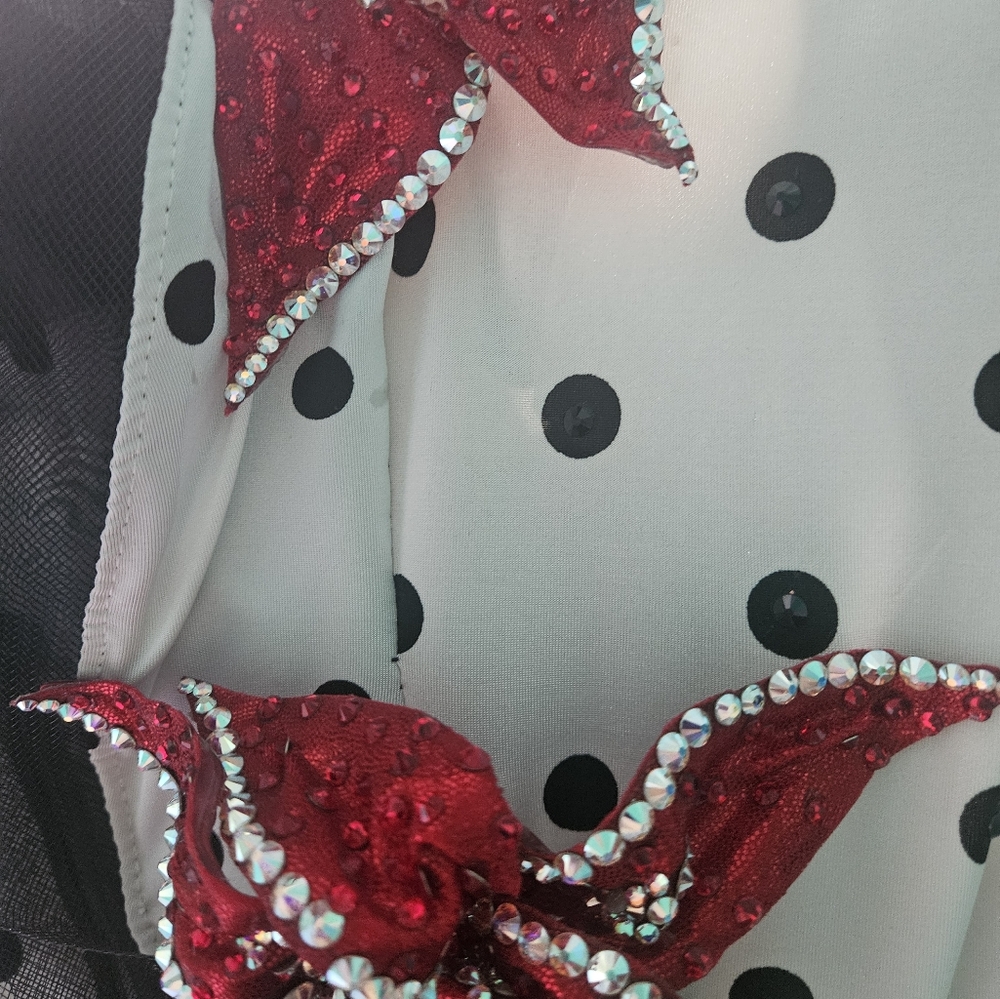 "Lola" - Polka Dot couture Valeria Designs Swing dresss w/ red Swarovski flowers - Picture 5 of 6
